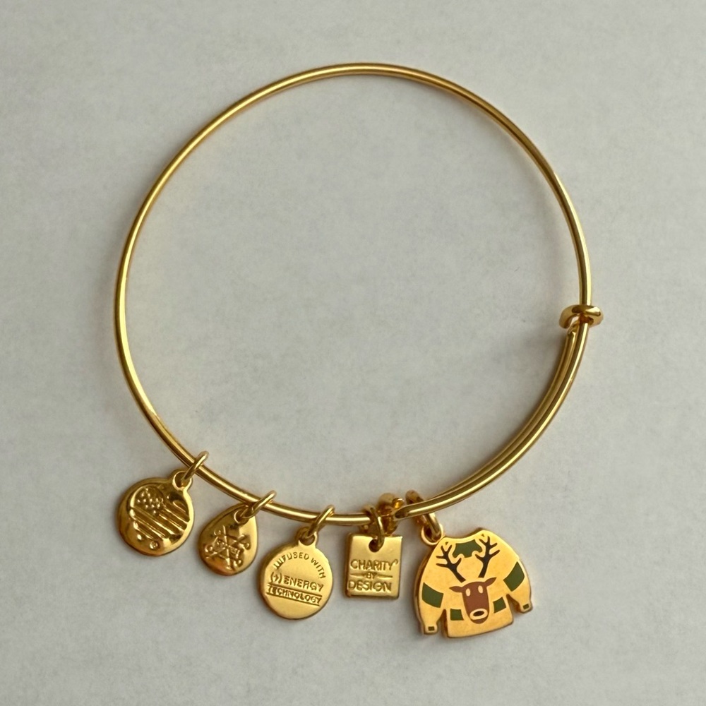 Alex and Ani Charity by Design Ugly Sweater
Bangle Shiny Gold One Size